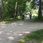 IMG_20250613_112650.jpg