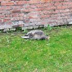IMG-20251013-WA0001.jpg